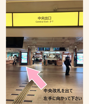 中央改札を出て左手に向かって下さい。